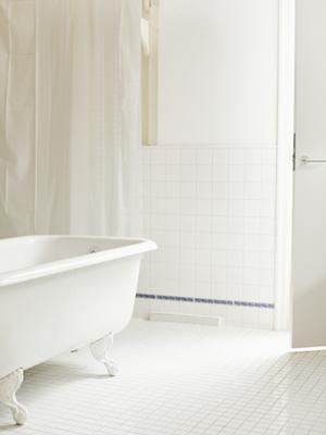 福岡の害獣駆除完全ガイド2025：効果的な対策と信頼できる業者選び